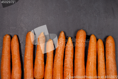 Image of Fresh organic carrots on black background.