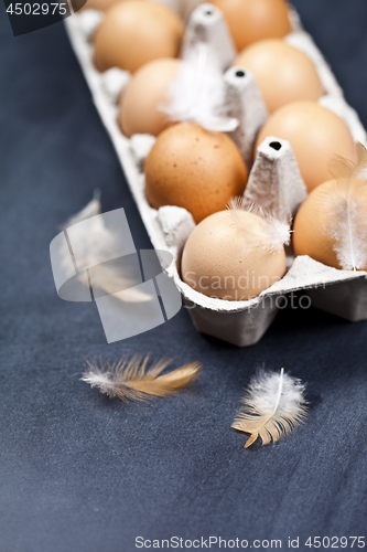 Image of Farm chicken eggs in cardboard container and feathers.