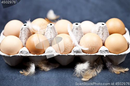 Image of Farm chicken eggs in cardboard container and feathers.