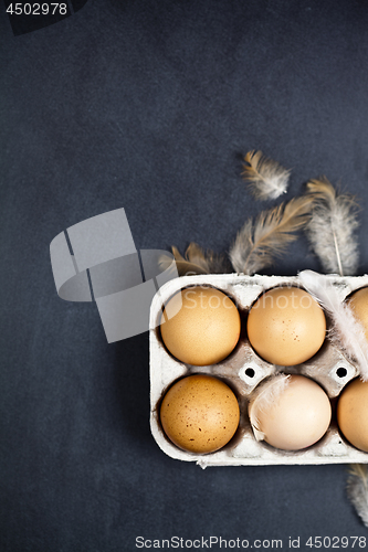 Image of Farm chicken eggs in cardboard container and feathers.