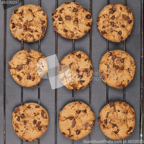 Image of Baking grid with chokolate cookies