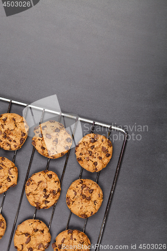 Image of Baking grid with chokolate cookies