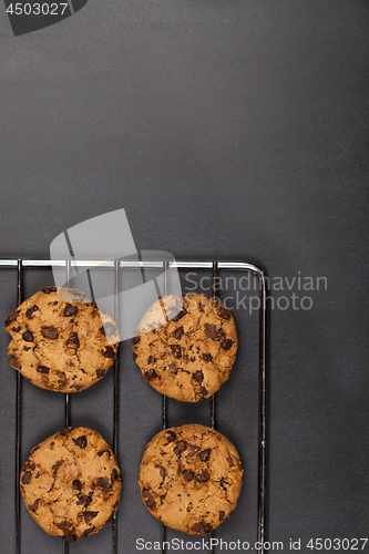 Image of Baking grid with chokolate cookies.