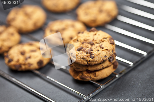 Image of Baking grid with chokolate cookies.