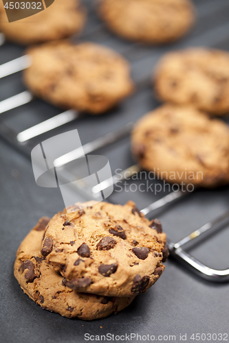 Image of Baking grid with chokolate cookies.