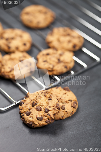 Image of Baking grid with chokolate cookies