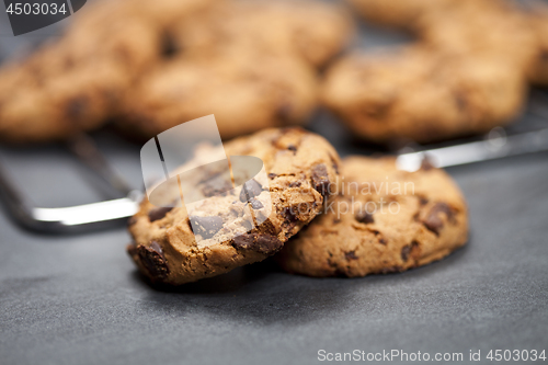 Image of Baking grid with chokolate cookies.