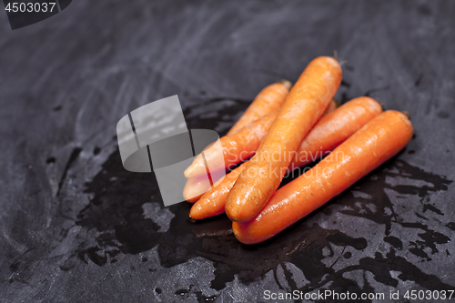 Image of Fresh organic carrots on black background.