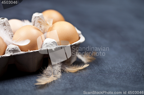 Image of Farm chicken eggs in cardboard container and feathers