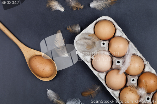 Image of Organic eggs, wooden spoon and feathers.