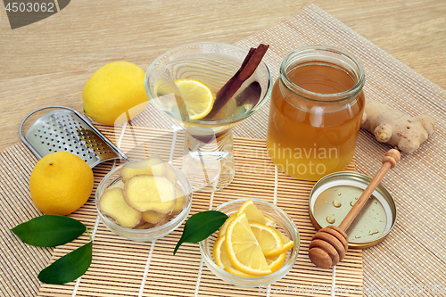 Image of Healing Flu and Cold Remedy Ingredients