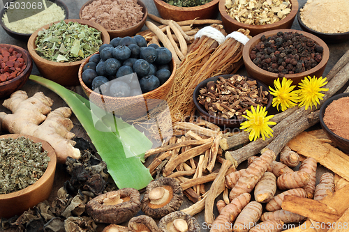 Image of Adaptogen Food Selection