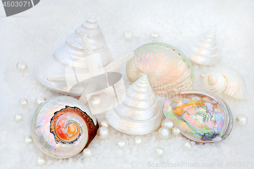 Image of Seashells and Pearls