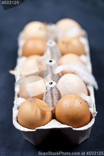 Image of Farm chicken eggs in cardboard container and feathers.
