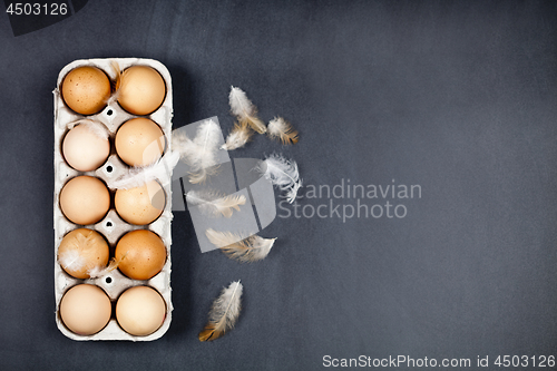 Image of Farm chicken eggs in cardboard container and feathers on black b