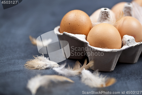 Image of Farm chicken eggs in cardboard container and feathers.