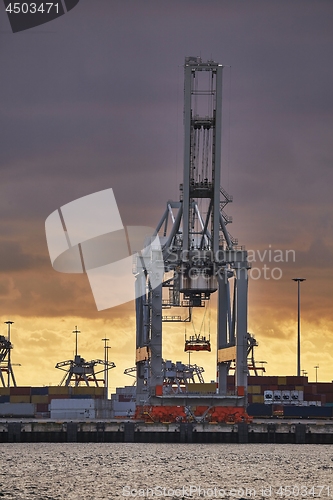 Image of Container Dock in Rotterdam