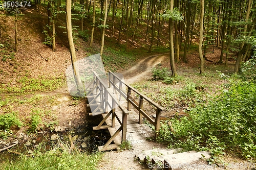 Image of Forest path bridge crossing stream