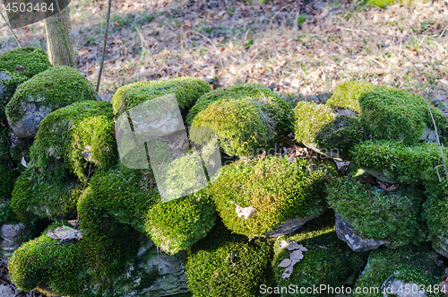 Image of Old moss covered stone wall