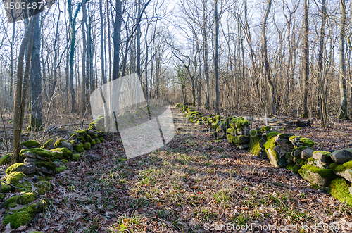 Image of Historical moss covered dry stone walls