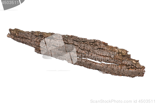 Image of Tree bark on white