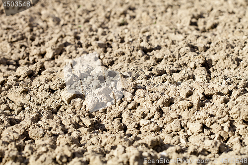 Image of Soil texture background