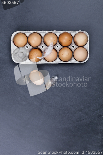 Image of Farm chicken eggs in cardboard container and feathers.