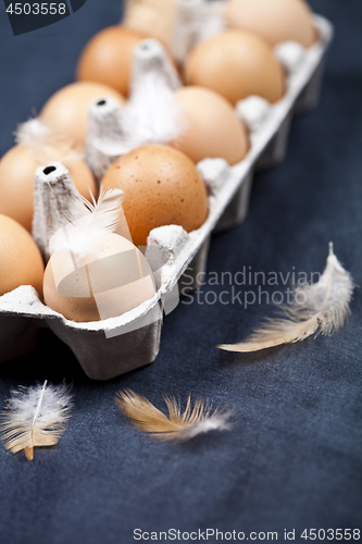 Image of Farm chicken eggs in cardboard container and feathers.