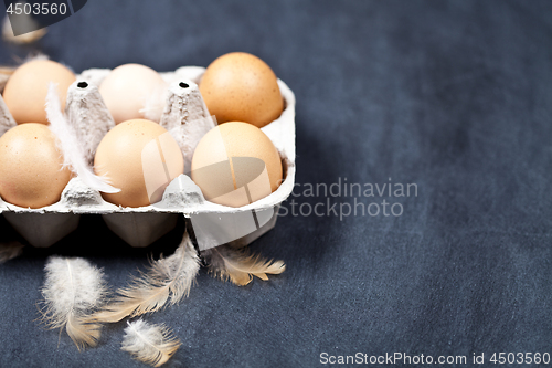 Image of Farm chicken eggs in cardboard container and feathers.