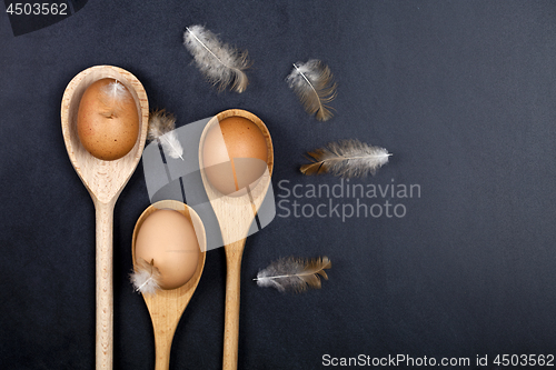 Image of Fresh chicken eggs in wooden spoons and fethers. 