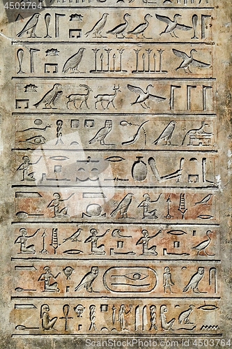 Image of Ancient Hieroglyphic Script