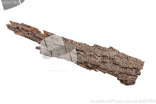 Image of Tree bark on white