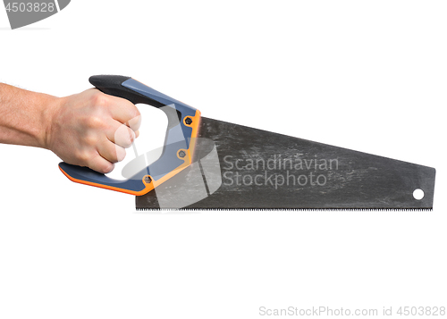 Image of Hand holding Saw