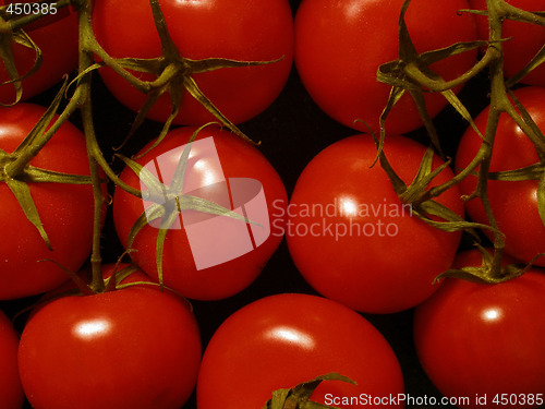 Image of toamtoes