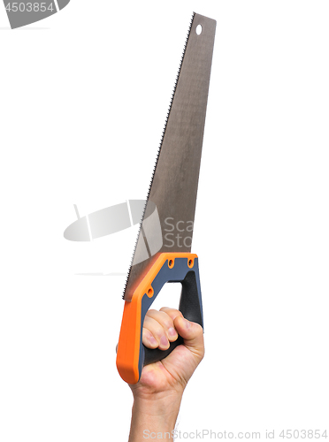 Image of Hand holding Saw