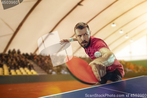 Image of The table tennis player serving