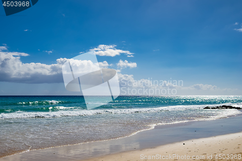 Image of Beach Fuerteventura