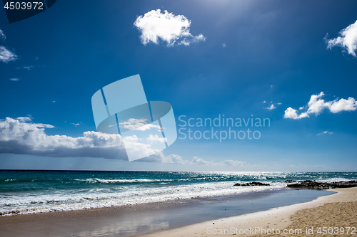 Image of Beach Fuerteventura