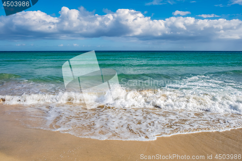 Image of Beach Fuerteventura