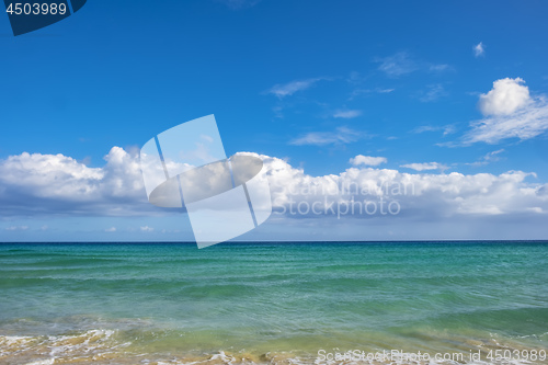 Image of Beach Fuerteventura