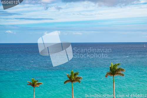 Image of Beach Fuerteventura