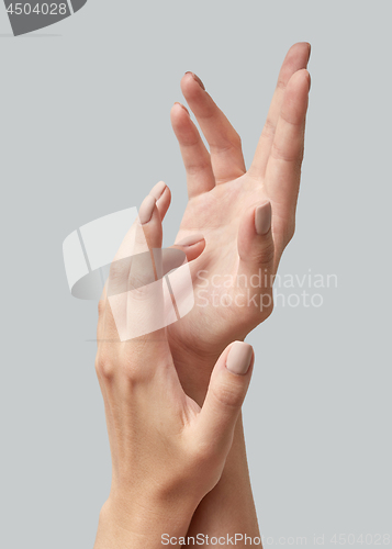 Image of Closeup of beautiful woman hands with light manicure on nails on a gray background. Massage of hands using cream.