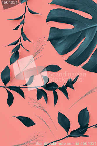 Image of Decorative pattern with evergreen leaves of Monstera plant on a Living Coral color background. Top view.