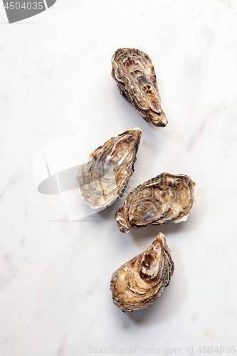 Image of Fresh seafood - raw natural closed oysters on a stone white background with copy space. Top view