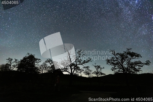 Image of Starry sky landscape