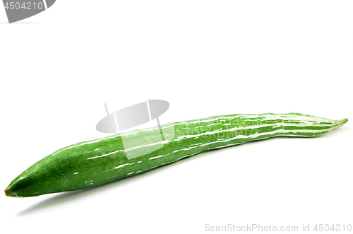 Image of Snake gourd isolated