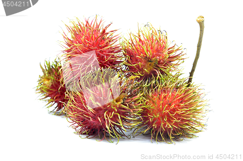 Image of Ripe rambutan isolated