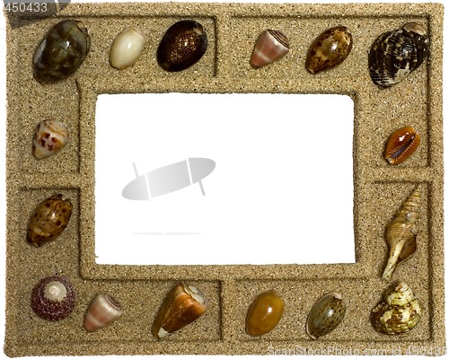 Image of Seashells frame

