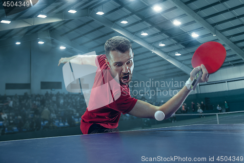 Image of The table tennis player serving