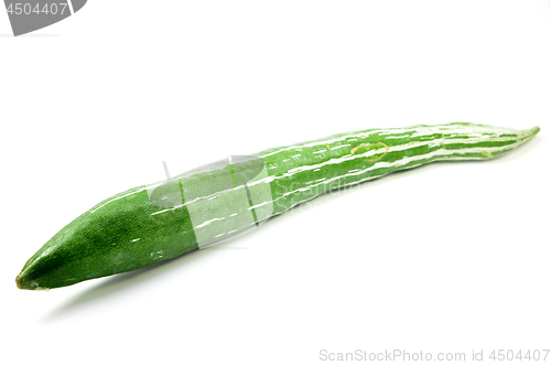 Image of Snake gourd isolated